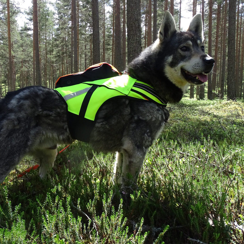 Kardog Raipe GPS-Vest