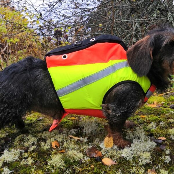 Kardog Saga GPS-vest