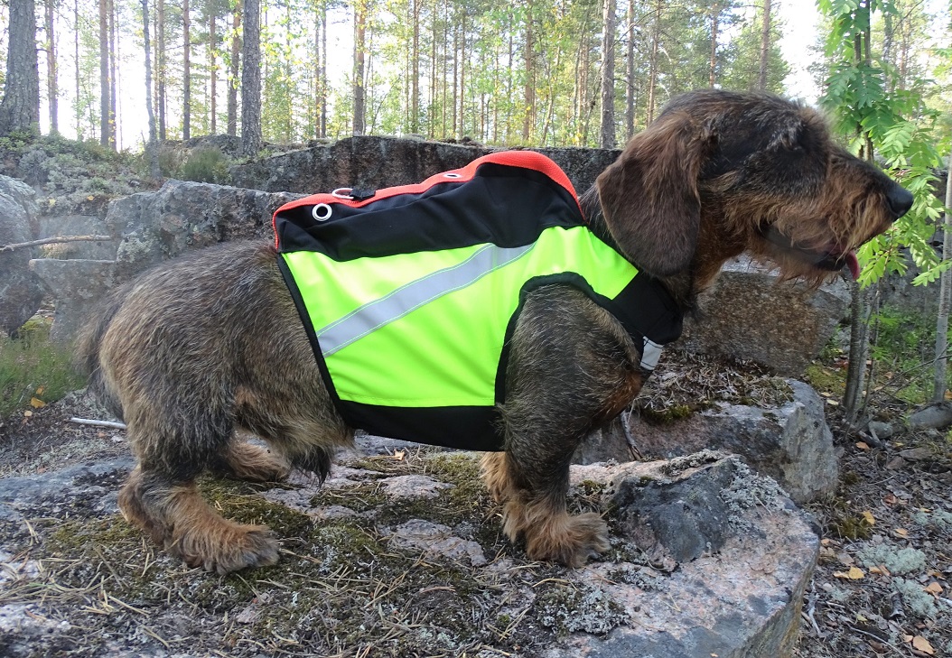 Kardog Sulo GPS-vest - Bilde 2